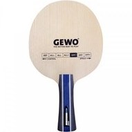 تصویر دایناتک ZV 