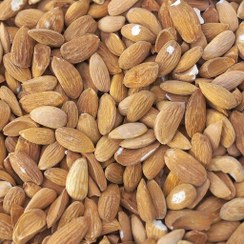 تصویر مغز بادام ایرانی 