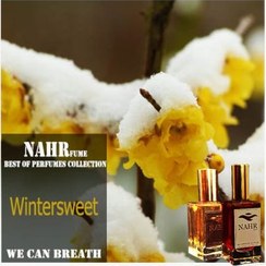 تصویر عطر ادکلن گل یخ ( Wintersweet ) 