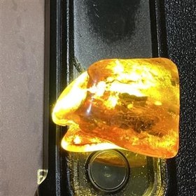 تصویر رالف کهربا طبیعی دریای بالتیک 