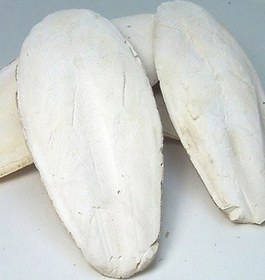 تصویر کف دریا_75 گرمی 