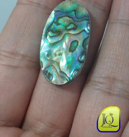 تصویر نگین صدف آبالون 