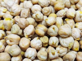 تصویر نخود درشت فله ای 