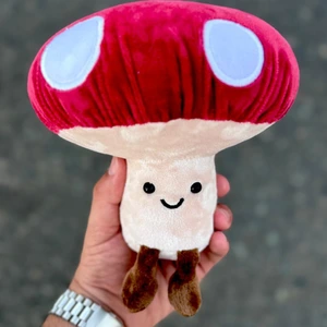 تصویر فروشگاه زودکادو