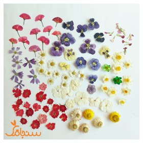 تصویر پک ۱۰۰ عددی گل خشک درجه ۲ 