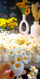 تصویر گلدان کوچک گل بابونه 