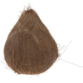 تصویر نارگیل Fresh یک عددی متوسط 