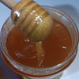 تصویر عسل طبیعی ارگانیک - 750 گرم HONEY
