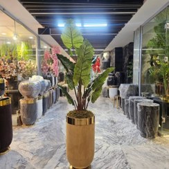 تصویر درختچه بابا آدم مصنوعی 