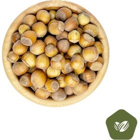 تصویر فندوق ارگانیک اشکور 