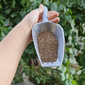 تصویر زنیان 