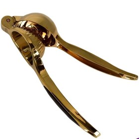 تصویر آبلیموگیری ویکتوریا رزگلد 