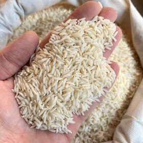 تصویر برنج هاشمی بوستان خزر (10 کیلو) 