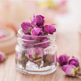 تصویر غنچه گل محمدی سوپل 