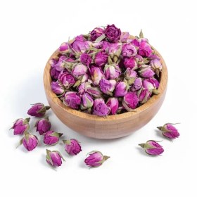 تصویر غنچه گل محمدی 