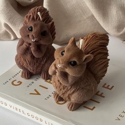 تصویر شمع سنجاب قهوه ای 