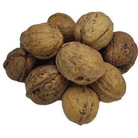 تصویر گردو خارجی 