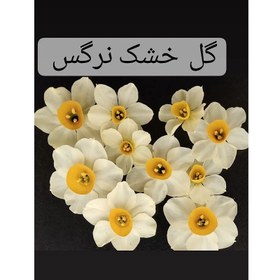 تصویر گل خشک نرگس بسته 10عددی 