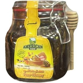 تصویر عسل سیاه جنگلی امریکن فارم 1کیلویی American Farm Black Forest Honey 