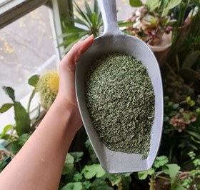 تصویر ترخون 