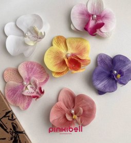 تصویر گیره انبری ارکیده 