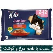 تصویر پوچfelix گربه بسته های 4عددی، 2عدد گوساله، 2عدد مرغ felix pocket for cat