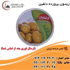 تصویر زیتون دلفین (رستورانی) 