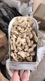 تصویر زنجبیل 