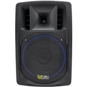 تصویر اکو همراه برین مدل 3695 با میکروفن بیسیم پرتابل ۱۲ اینچ 