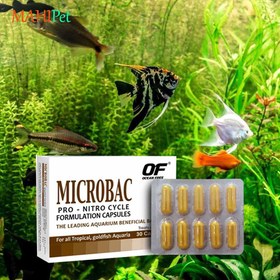 تصویر کپسول باکتری ساز ماهیان آب شیرین اوشن فری Microbac (10 عددی) 