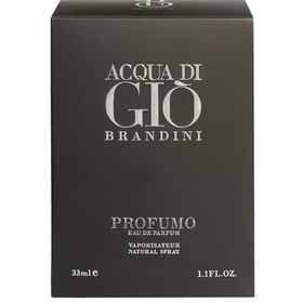 تصویر عطر ادکلن اکوا دی جیو پروفومو مردانه Acqua Di Gio Profumo 