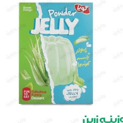 تصویر پودر ژله آلوئه ورا کوپا 100 گرمی | طعمی خنک و متفاوت 