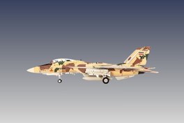 تصویر ماکت جنگنده F-14 Tomcat Iranian Air Force 