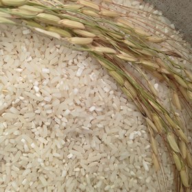 تصویر برنج شکسته هاشمی – 5 کیلوگرم 