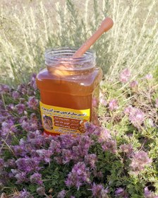 تصویر عسل طبیعی گون بدون موم1کیلویی ا عسل طبیعی محصول کوهستان اردبیل عسل طبیعی محصول کوهستان اردبیل