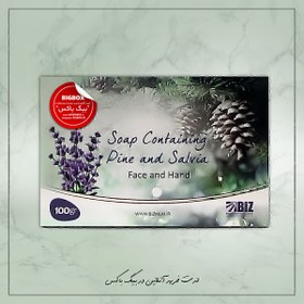 تصویر صابون دانه کاج و مریم گلی دکتر بیز Pine and sage soap Dr.Biz