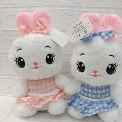 تصویر خرگوش پاپیونی پولیشی 