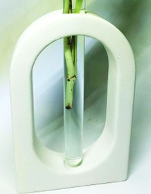 تصویر گلجا آلا Pikasa