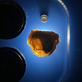 تصویر راف جواهری دمانتوئیدk456 