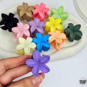 تصویر کلیپس پلومریا سایز کوچک - زرد 