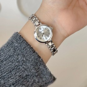 تصویر ساعت فنچی 