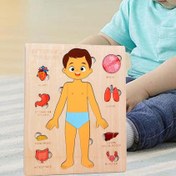 تصویر پازل چوبی آناتومی بدن (پسر) 