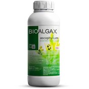 تصویر کود جلبک دریایی بیوآلجاکس اسپانیا Bioalgax