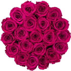 تصویر Pink Eternal Roses in a Large Flocked Coco Box | کد: ZNB-1J1G 