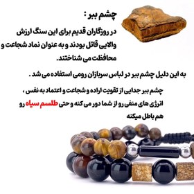 تصویر ببر TIGER