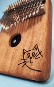 تصویر کالیمبا کالی‌مون گربه خنگ 