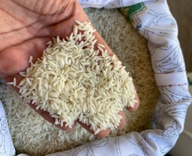 تصویر برنج هاشمی طبیعت 