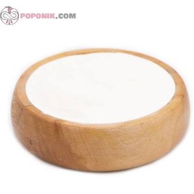 تصویر پودر پنیر پودری 100گرم 