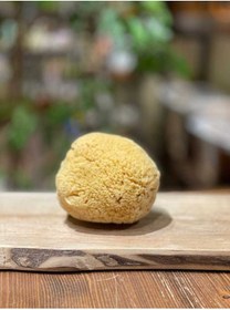 تصویر لیف و اسفنج حمام اورجینال برند Masale مدل Natural Sea Sponge 15g (BABY) کد 790599673 