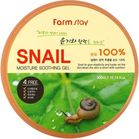 تصویر ژل مرطوب کننده حلزون فارم استی حجم 300 میل Farm stay Snail Moisture Soothing Gel 